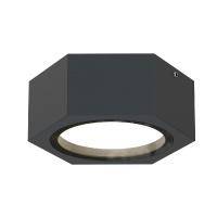 Уличный потолочный светильник Favourite Fantum 4667-1U