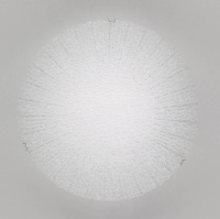 Настенный светильник Citilux Лучи CL917002