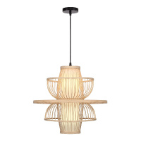 Подвесной светильник ST Luce Alma SL6241.513.01