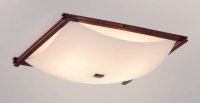 Потолочный светильник Citilux Белый Багет CL932111