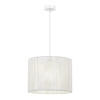 Подвесной светильник Evoluce Ettan SLE6024-503-01 — купить в Bronko‑Decor