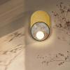 Настенный светильник Favourite Messier 4594-1W — купить в Bronko‑Decor