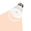 Лампа светодиодная для растений (UL-00001820) Uniel E27 10W прозрачная LED-A60-10W/SPFR/E27/CL PLP01WH — купить в Bronko‑Decor