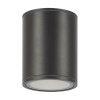 Уличный потолочный светильник Maytoni Bar O306CL-L12GF — купить в Bronko‑Decor