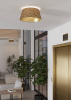 Потолочный светильник Eglo Castuera 390291 — купить в Bronko‑Decor