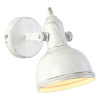 Спот Arte Lamp Martin A5213AP-1WG — купить в Bronko‑Decor