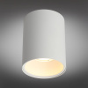 Потолочный светильник Omnilux Cariano OML-101209-01 — купить в Bronko‑Decor