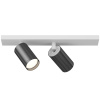 Спот Maytoni FOCUS S C051CL-2WGF — купить в Bronko‑Decor