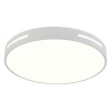 Потолочный светильник Natali Kovaltseva Modern LED LAMPS 81334 — купить в Bronko‑Decor