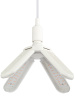 Фитолампа для растений красно-синего спектра Эра ФИТО-40W-PL-E27-GR Б0064525 — купить в Bronko‑Decor