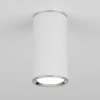 Потолочный светильник Elektrostandard DLN101 GU10 WH белый 4690389135859 — купить в Bronko‑Decor