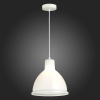 Подвесной светильник Evoluce Bacchi SLE114703-01 — купить в Bronko‑Decor