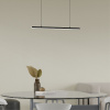 Линейный подвесной светильник Lightera James LE107L-100B WIFI — купить в Bronko‑Decor