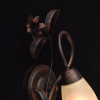 Бра MW-Light Аида 323023801 — купить в Bronko‑Decor