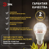 Фитолампа для растений Эра ФИТО A65-20W-PFR-E27-GR Б0068577 — купить в Bronko‑Decor