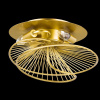 Потолочная люстра Lightstar Zeta 728133 — купить в Bronko‑Decor