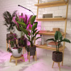 Светодиодный светильник для растений Elektrostandard FT-004 4690389167416 — купить в Bronko‑Decor