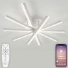Потолочная люстра Natali Kovaltseva Line LED LAMPS 81171 — купить в Bronko‑Decor