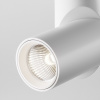 Накладной спот Maytoni Dafne C027CL-L10W4K — купить в Bronko‑Decor