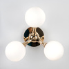 Бра Modestyle MS.6116.03 GD — купить в Bronko‑Decor