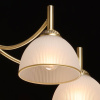 Потолочная люстра MW-Light Олимп 318015605 — купить в Bronko‑Decor