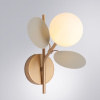 Бра Arte Lamp Peacock A1369AP-1GY — купить в Bronko‑Decor