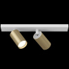 Спот Maytoni FOCUS S C051CL-2WMG — купить в Bronko‑Decor