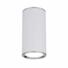 Потолочный светильник Elektrostandard DLN101 GU10 WH белый 4690389135859 — купить в Bronko‑Decor
