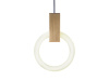 Подвесной светильник Elvan PD-63001-200-22W-Gl — купить в Bronko‑Decor