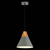 Подвесной светильник Evoluce Modica SLE125113-01 — купить в Bronko‑Decor