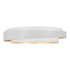 Потолочный светильник Evoluce Crosby SLE6009-502-01 — купить в Bronko‑Decor