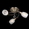 Потолочная люстра Eurosvet Вирджиния 30100/3 античная бронза — купить в Bronko‑Decor