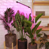 Светодиодный светильник для растений Elektrostandard FT-004 4690389167416 — купить в Bronko‑Decor