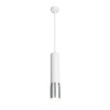 Подвесной светильник Elektrostandard DLN108 GU10 белый/серебро 4690389148668 — купить в Bronko‑Decor