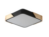 Потолочный светильник Zortes Alberro ZRS.01281.60 — купить в Bronko‑Decor