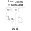 Бра Lightstar Croco 815517 — купить в Bronko‑Decor