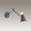 Спот Lumion Liam 3790/1W — купить в Bronko‑Decor