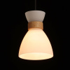 Подвесной светильник De Markt Лоск 107010101 — купить в Bronko‑Decor