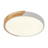 Потолочный светильник Natali Kovaltseva Scandinavian LED LAMPS 81181 — купить в Bronko‑Decor
