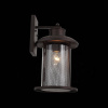 Уличный настенный светильник ST Luce Lastero SL080.401.01 — купить в Bronko‑Decor