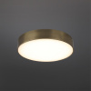 Потолочный светильник Aployt Evon APL.0113.29.24 — купить в Bronko‑Decor