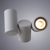 Потолочный светильник Divinare Gavroche 1354/03 PL-2 — купить в Bronko‑Decor