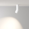 Накладной спот Maytoni Dafne C027CL-L10W4K — купить в Bronko‑Decor