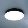 Потолочный светильник Feron AL6200 48067 — купить в Bronko‑Decor