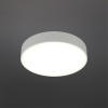 Потолочный светильник Aployt Evon APL.0114.09.24 — купить в Bronko‑Decor