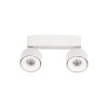 Накладной спот Loft IT Focus 10323/2A White — купить в Bronko‑Decor