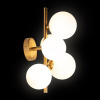 Бра Loft IT Tely 10236/5W — купить в Bronko‑Decor