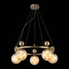 Подвесной светильник EVOLUCE PECHIO SLE106303-05 — купить в Bronko‑Decor