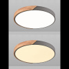 Потолочный светильник Natali Kovaltseva Scandinavian LED LAMPS 81183 — купить в Bronko‑Decor