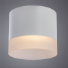 Потолочный светильник Arte Lamp Castor A5554PL-1WH — купить в Bronko‑Decor